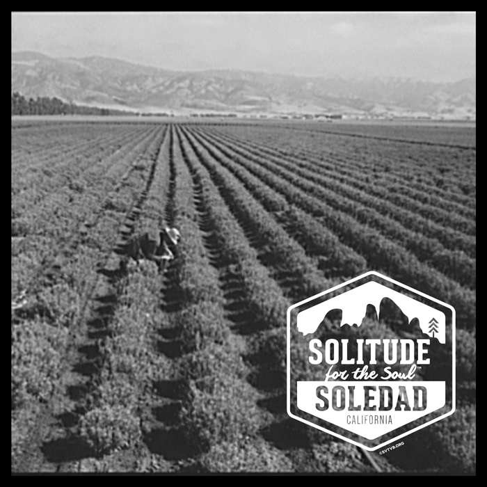 Soledad, CA