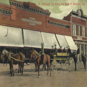 Gonzales Widemann building