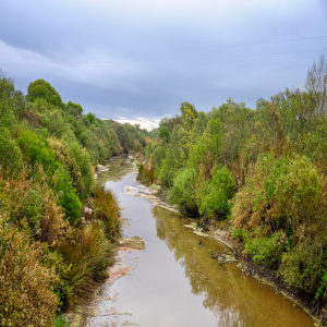 Salinas River
