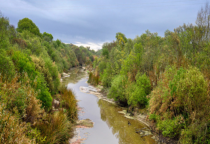 Salinas River