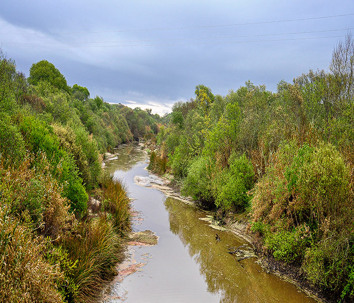 Salinas River